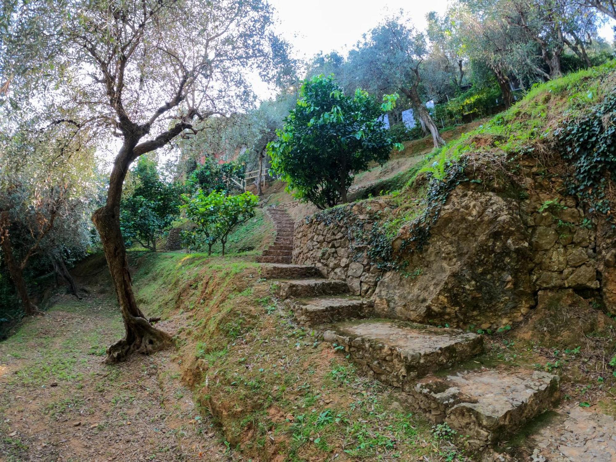B&B פורטופינו מראה חיצוני תמונה